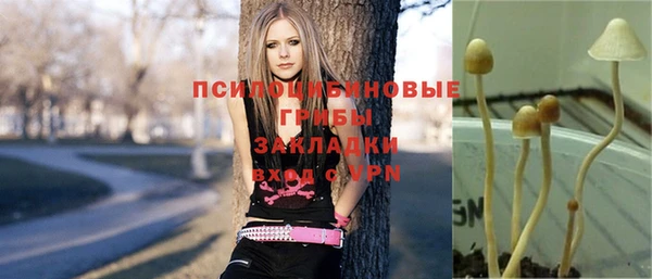 a pvp Абинск