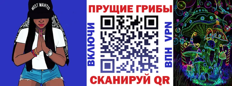 Псилоцибиновые грибы Psilocybe  Ялуторовск 